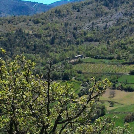 فيلا Ferme La Viste La Roche-sur-le-Buis المظهر الخارجي الصورة
