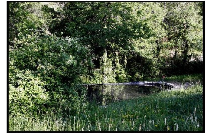 فيلا Ferme La Viste La Roche-sur-le-Buis المظهر الخارجي الصورة